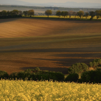 Brno a okolí