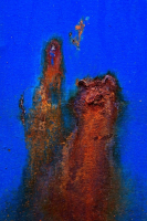 kocour pod vodou