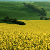 Brno a okolí