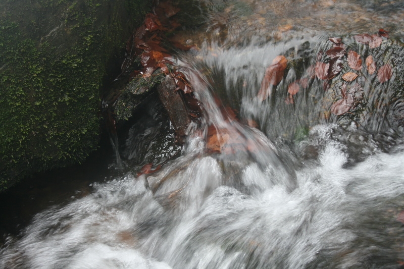 Rešovské vodopády 2013