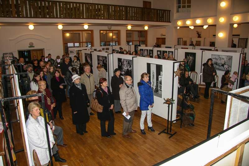 Vánoční výstava Dolní Bojanovice 2013