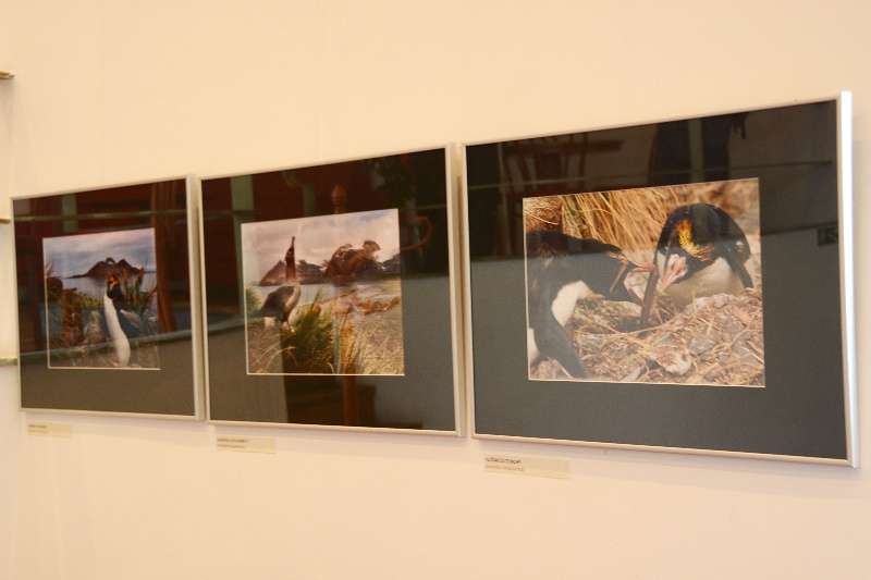 Fotografie Petra Mikuláka