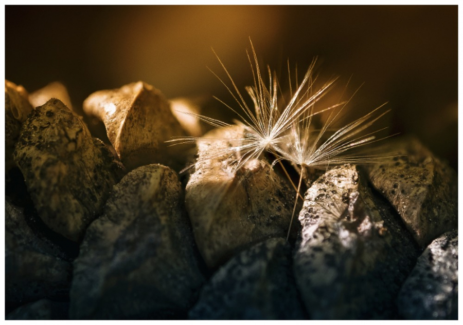 18. Fotoklub Tišnov