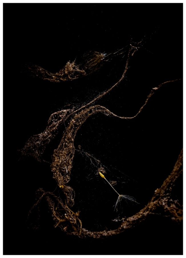 18. Fotoklub Tišnov