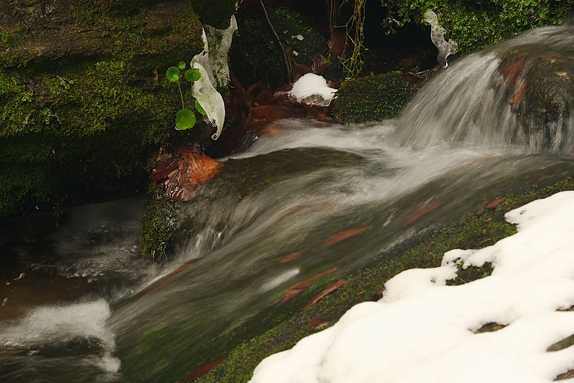Fotografie Saši Kolovratníka