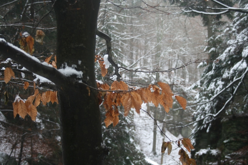 Rešovské vodopády 2013