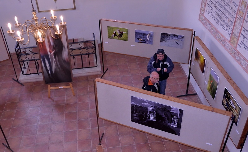 Galerie Moniky POLÍVKOVÉ