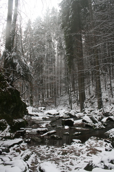 Rešovské vodopády 2013