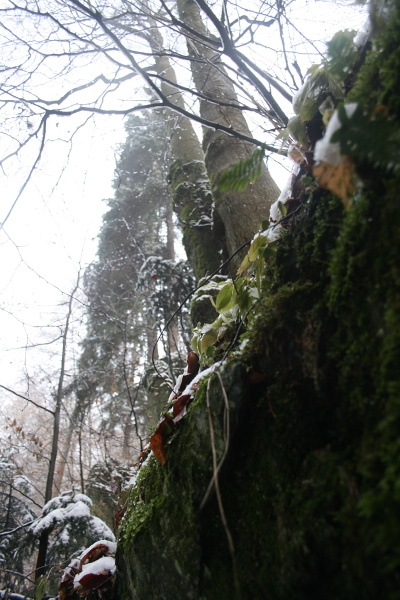 Rešovské vodopády 2013