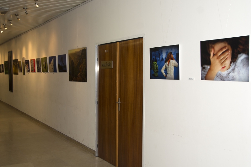 Galerie Petra MIKULÁKA