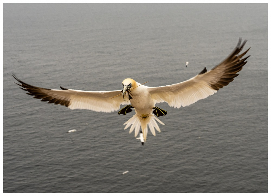 18. Fotoklub Tišnov