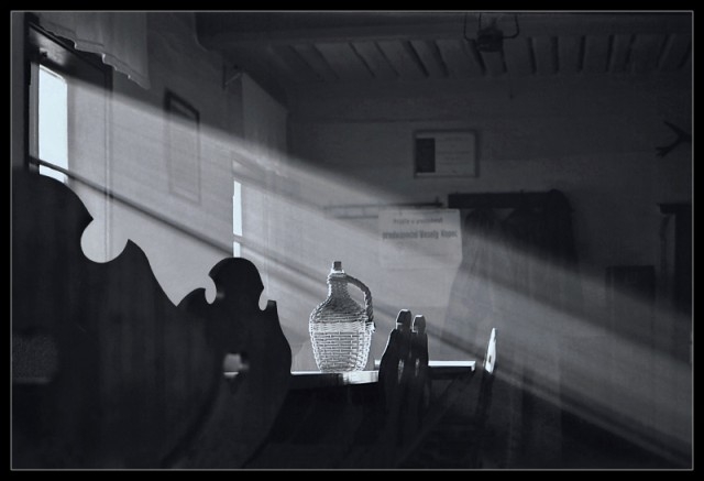 Vítězné fotografie MSMO 2013-2014