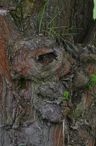 Výjezd Prudká 2013