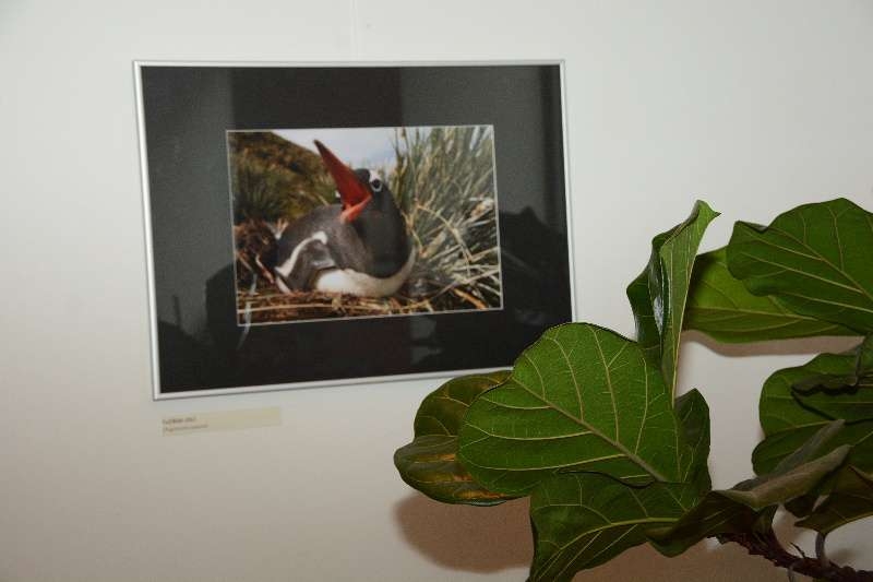 Fotografie Petra Mikuláka