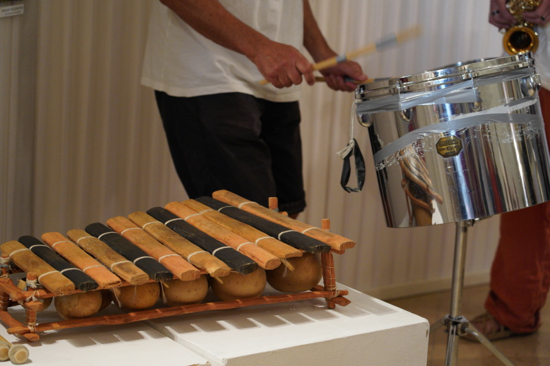 Fotogalerie z vernisáže Petra PEŘINY