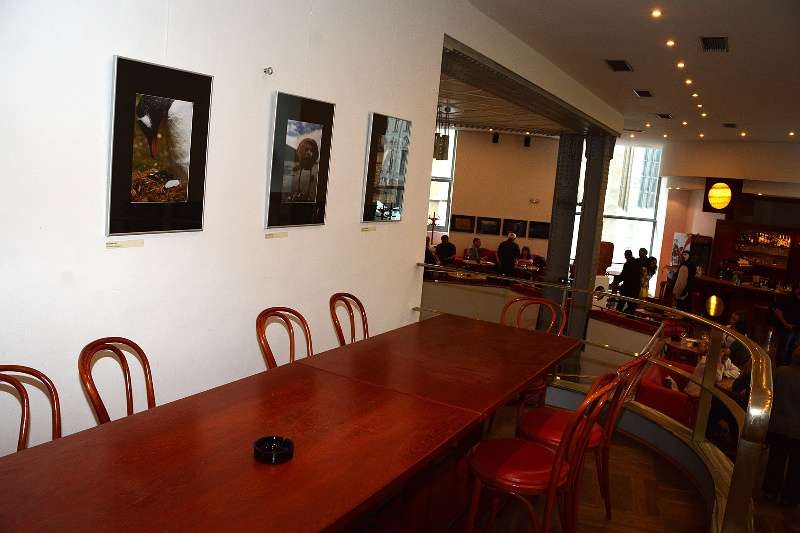 Fotografie Petra Mikuláka Fotografie Petra Mikuláka