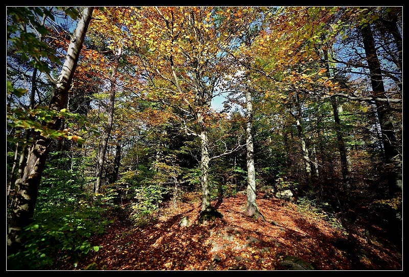 Výjezd Sněžné 17.10-19.10.2014