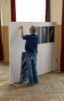 Vernísáž výstavy v Letovicích 2013