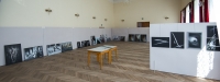 Vernísáž výstavy v Letovicích 2013