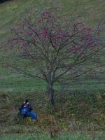 Výjezd podzim 2013 Bystřice nad Peštejnem