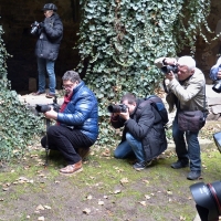 Fotografie Jardy ŠVECE