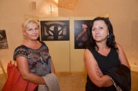 Fotky z vernisáže Petra MIKULÁKA