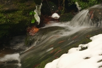 Rešovské vodopády 2013