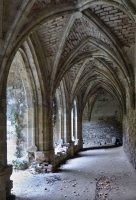 Fotografie Jardy ŠVECE