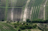 Pálava Stolová hora