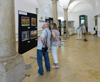 Fotogalerie z vernisáže Jardy ŠVECE
