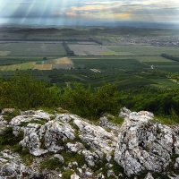 Pálava Stolová hora