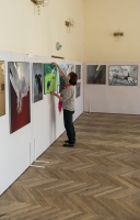 Vernísáž výstavy v Letovicích 2013