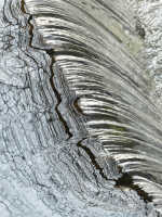 svec_1