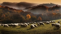 Poradi_10-11a_Jan_Zahornacky_Podzim