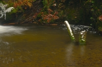 Rešovské vodopády 2013