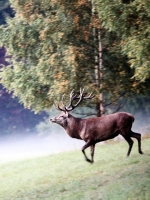 Jesenik_043