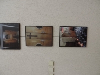 Fotografie Drahomíry JULÍNKOVÉ