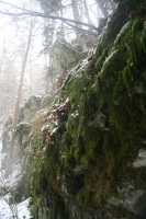 Rešovské vodopády 2013