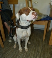 Oslava 60-tin Jirky SLÁMY