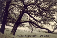 Klubová soutěž PF 2009