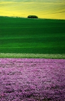 Kurim_144