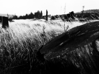 Rymarov_187