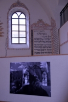 Fotografie Moniky POLÍVKOVÉ