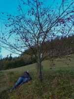 Výjezd podzim 2013 Bystřice nad Peštejnem