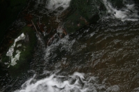 Rešovské vodopády 2013