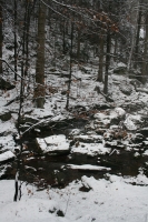 Rešovské vodopády 2013