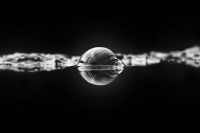 msmo_21