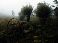Kurim_079
