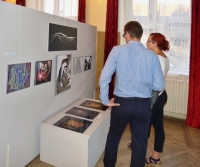 Vernísáž výstavy KMF letovice 2016
