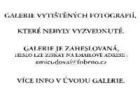 Galerie nevyzvednutých fotografií
